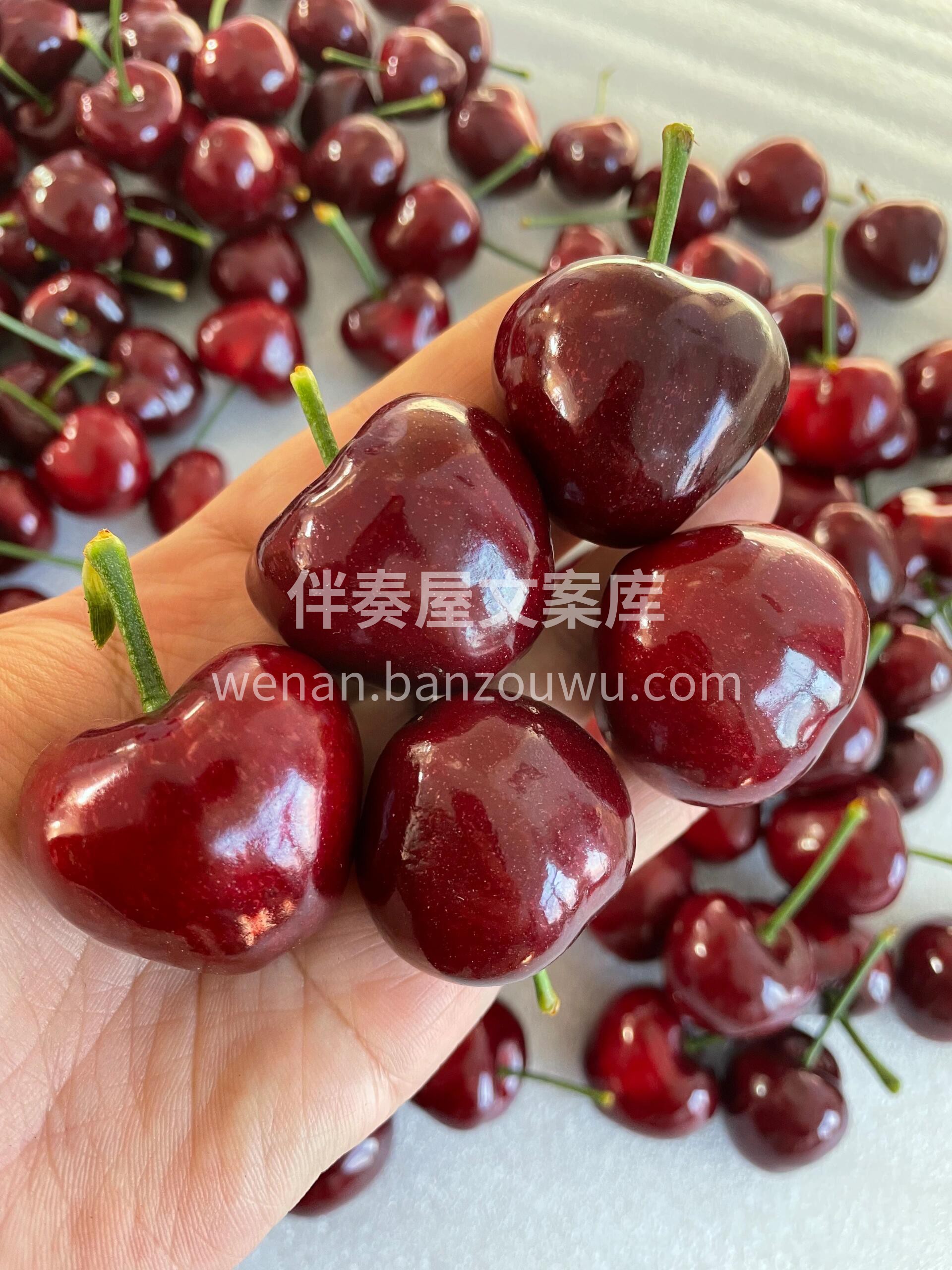 每天有每天的快乐🎉 ～ 大樱桃🍒一口一颗 配图3