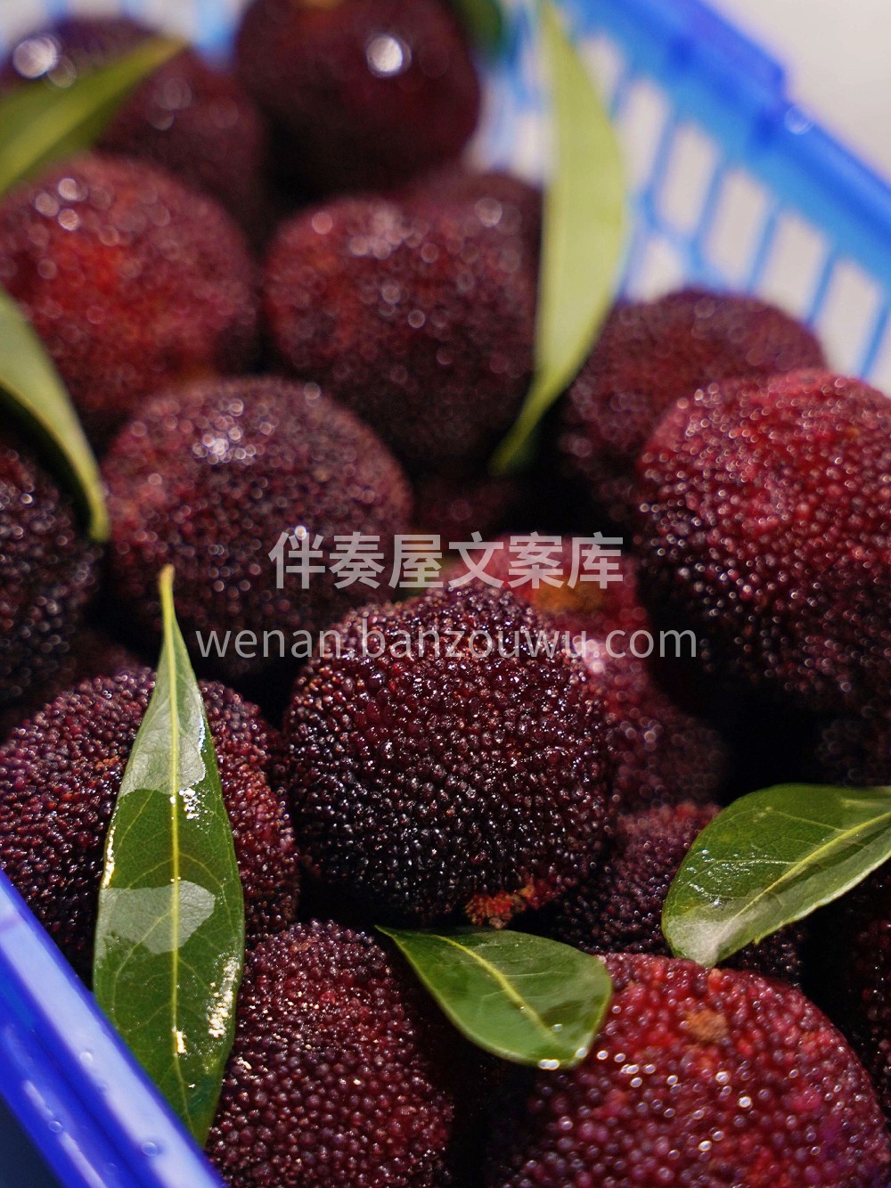 杨梅到货啦～​杨梅 ❤娇嫩饱满，酸甜多汁 配图1