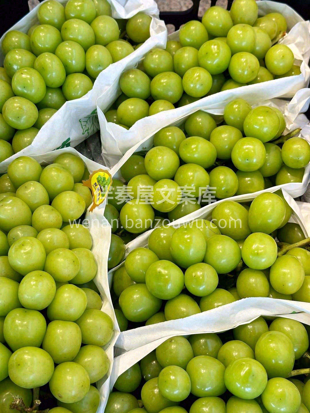 💚阳光玫瑰葡萄上新，果如其名般散发着阳光 配图3