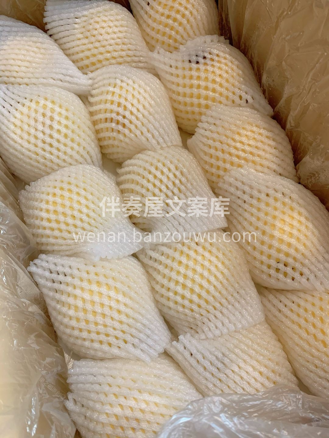?大个头”水分多多，甘甜凉爽的梨汁由口腔 配图3