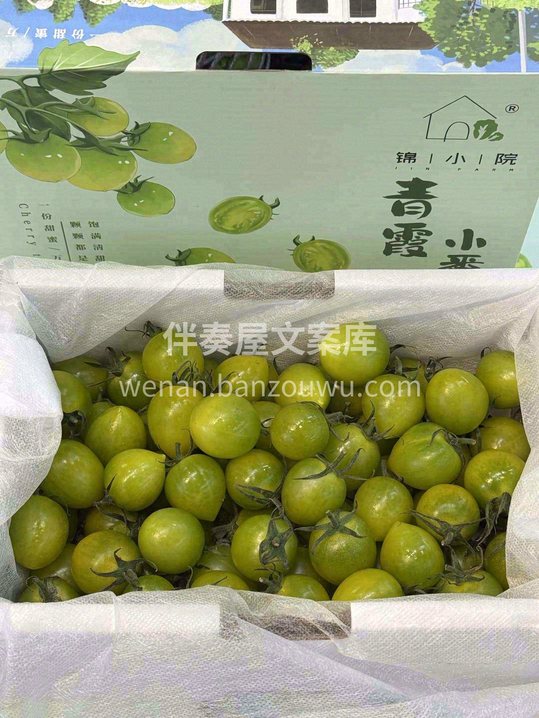 💚因为皮薄，所以小小一颗番茄，基本都是满 配图1