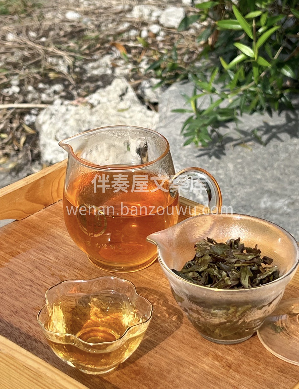 马蹄踏春归，单丛迎福来。愿新岁平安喜乐， 配图2