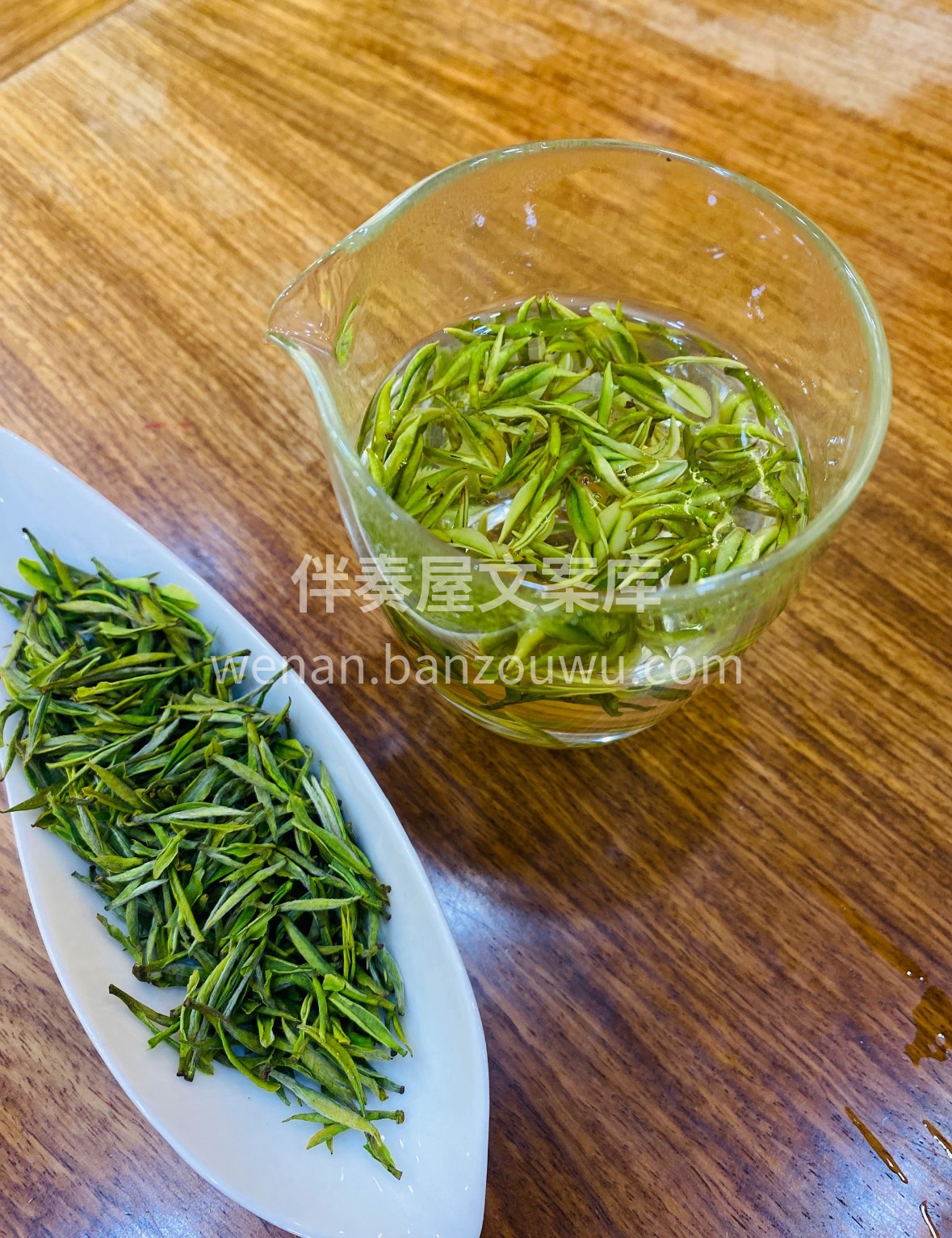 安吉白茶·春涧清欢 明前雀舌破霜来，一芽 配图2