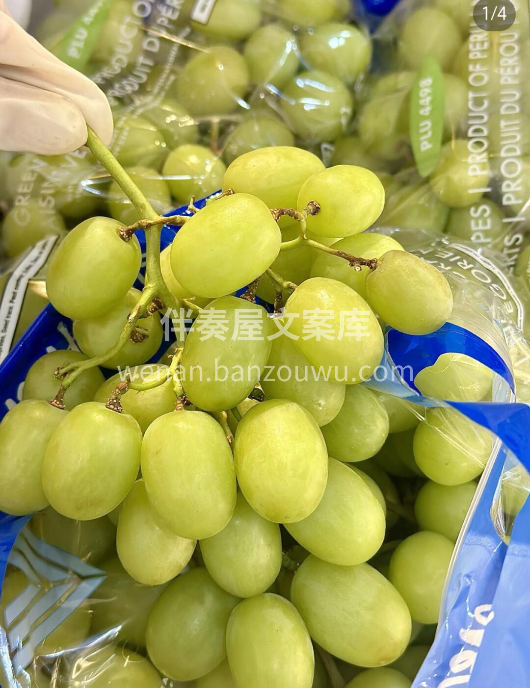 【🎉秘鲁🇵🇪秋天脆青提】 青提系列最佳口 配图3