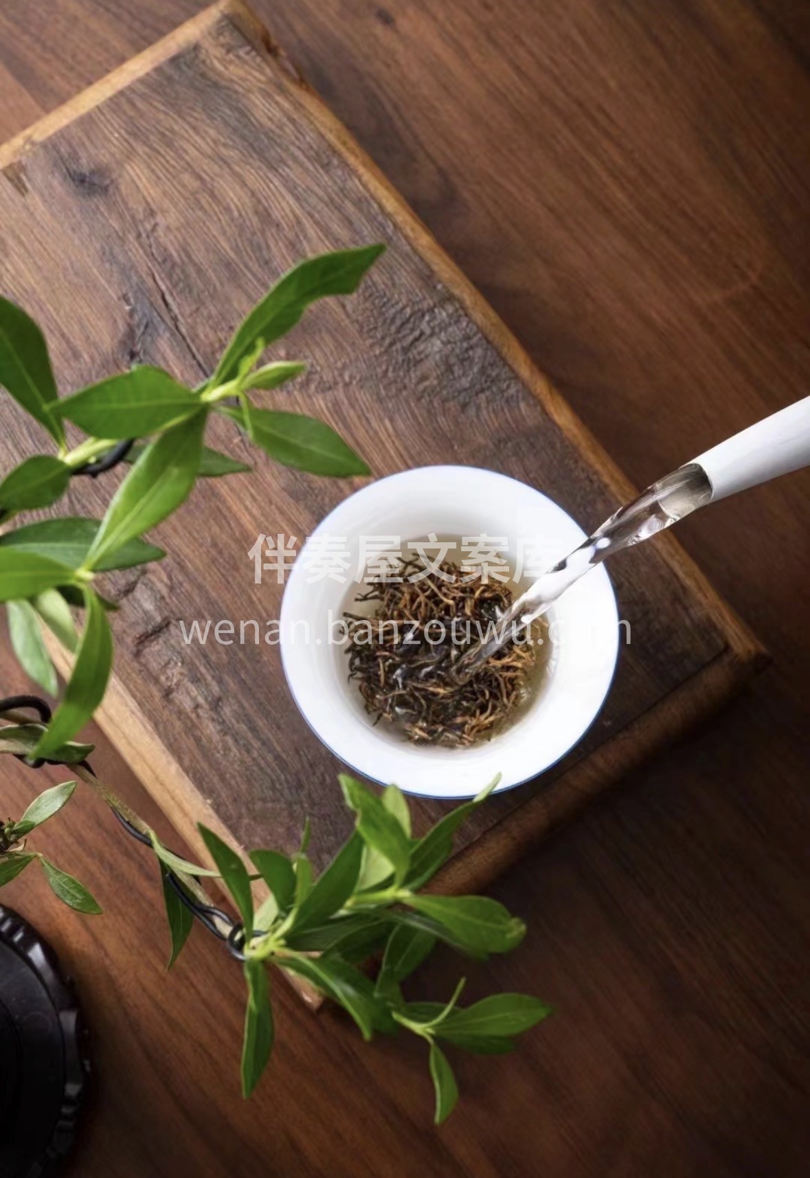 开年上门硬通货！🎁 🍵正山金骏眉，蜜香高 配图2