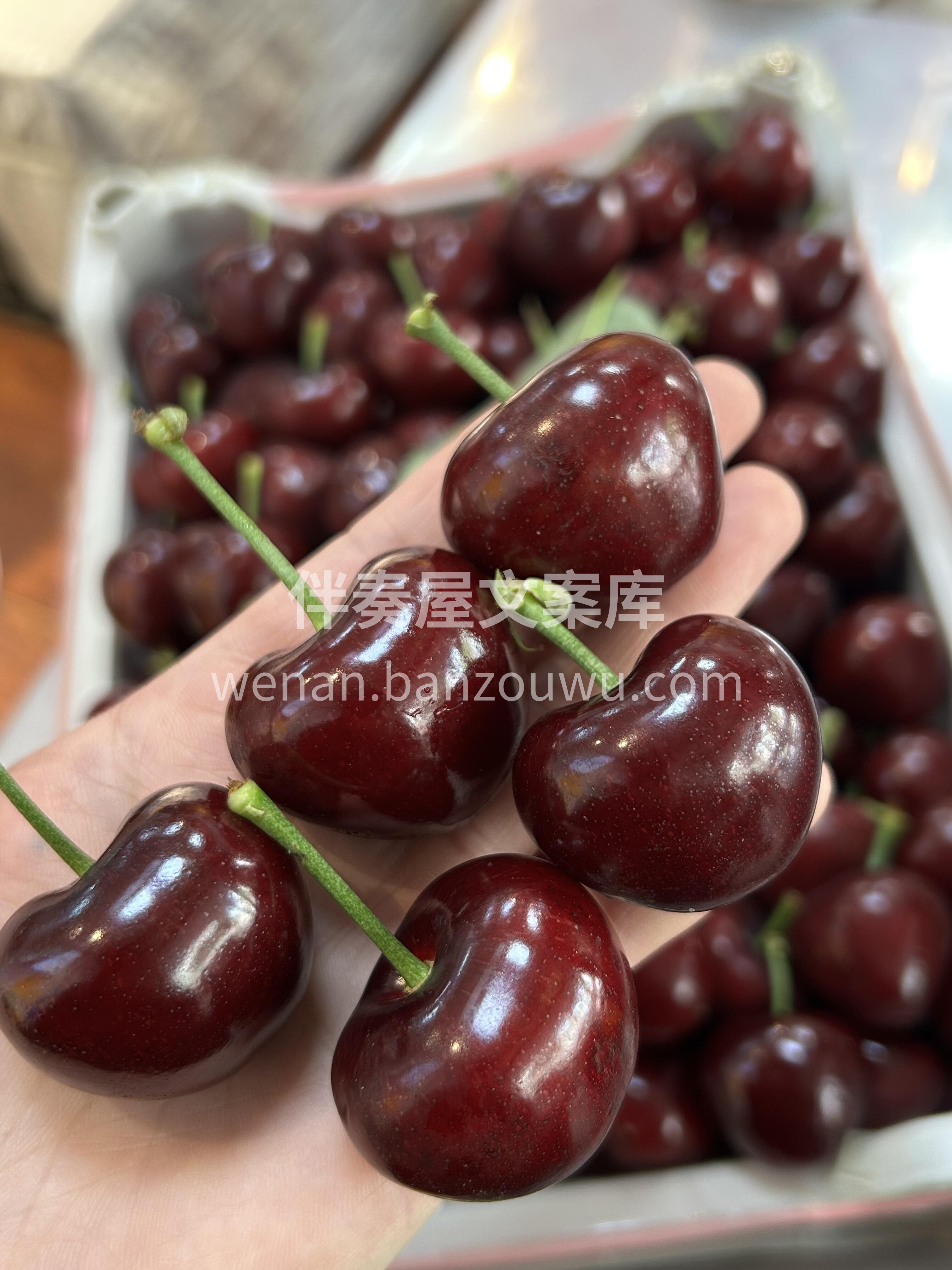 🍒美早樱桃！💎 国产车厘子天花板✨ 美早 配图1