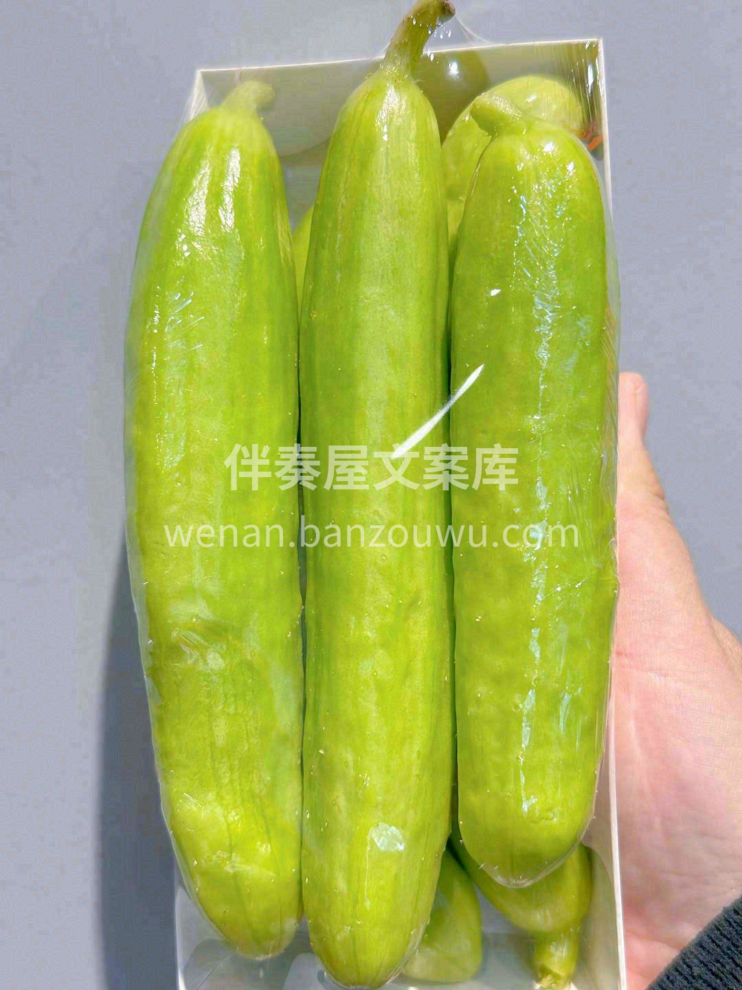 身材小巧的奶油黄瓜✨，被它Q萌的外表一秒 配图1