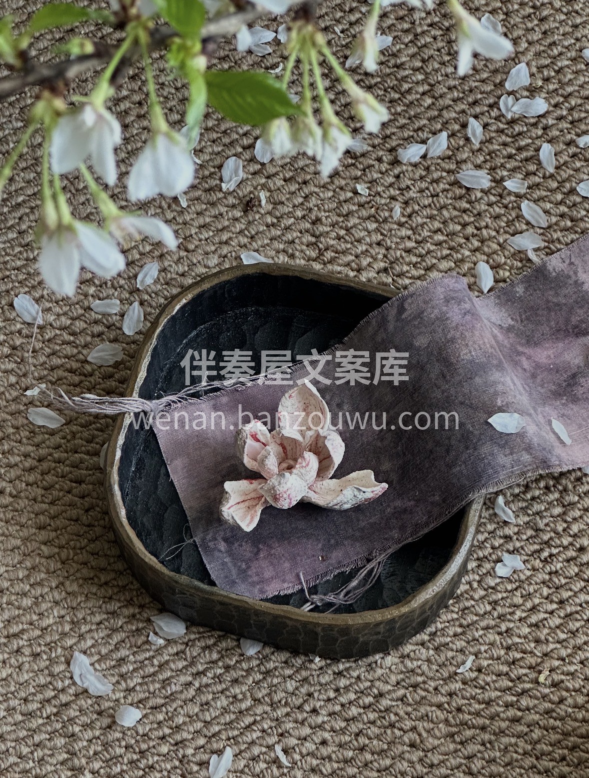 『茶席』-樱花🌸 早樱已经开始落下花瓣啦 配图1