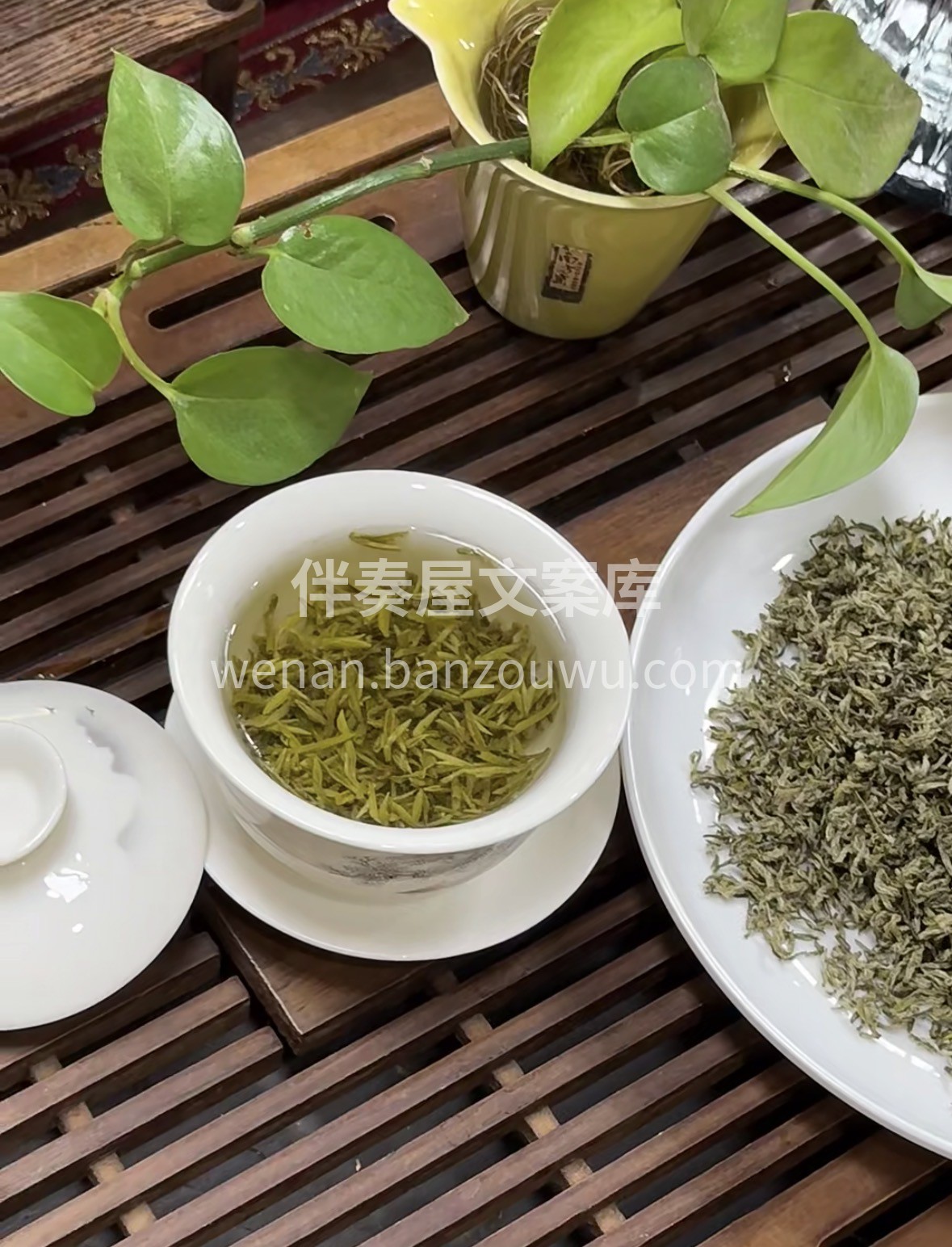 新春年货选蒙顶甘露，明前春芽凝鲜醇，甘洌 配图2
