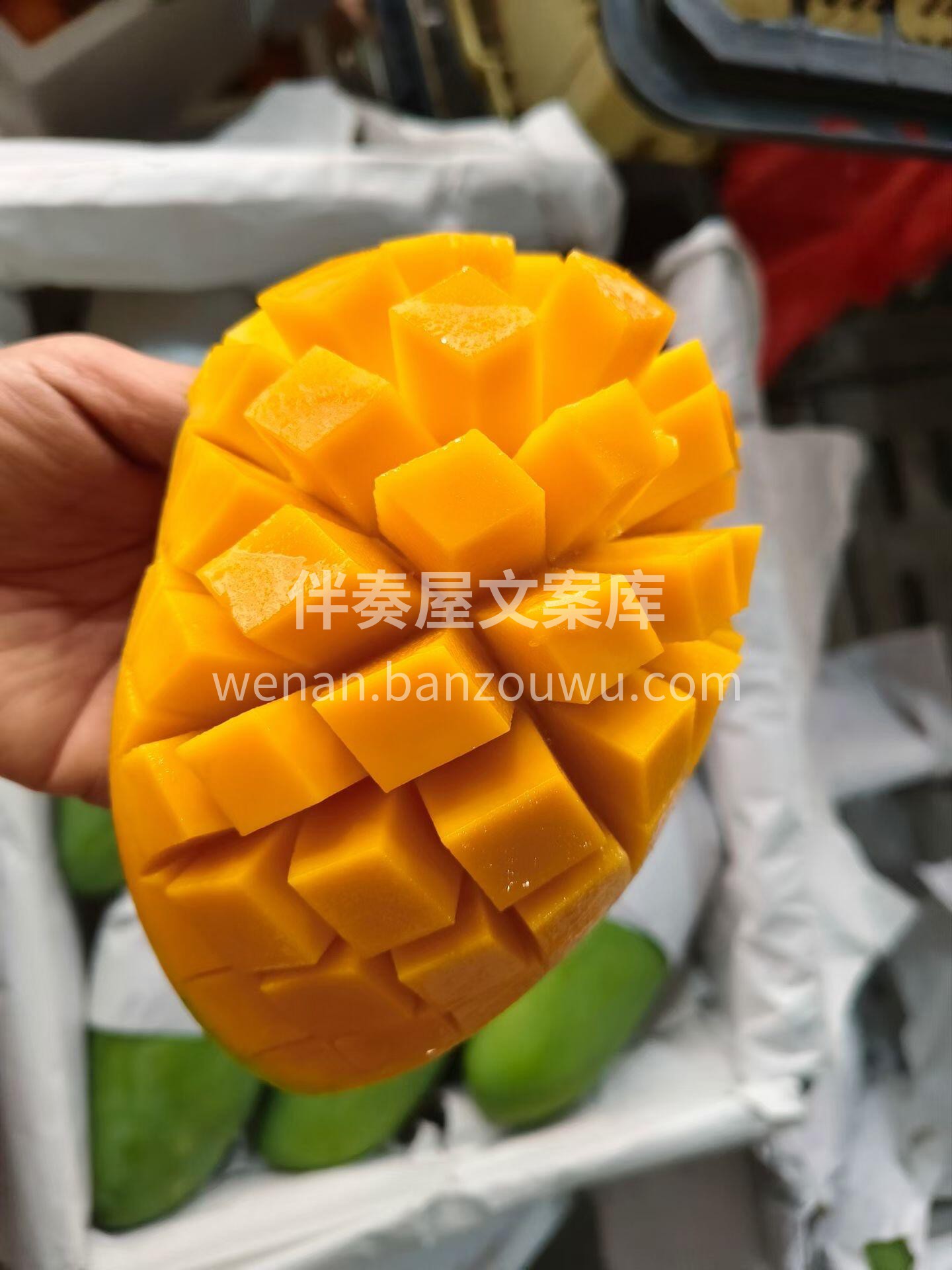 🥭越南大青芒到货🔥 表皮青色是它的专属名 配图1