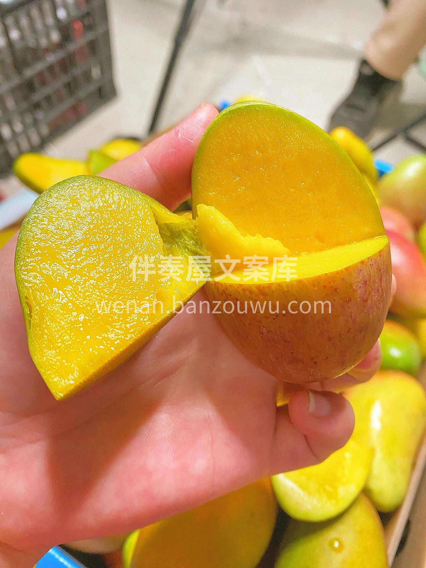 吃一口就会念念不忘的贵妃芒?不打药，不催 配图3