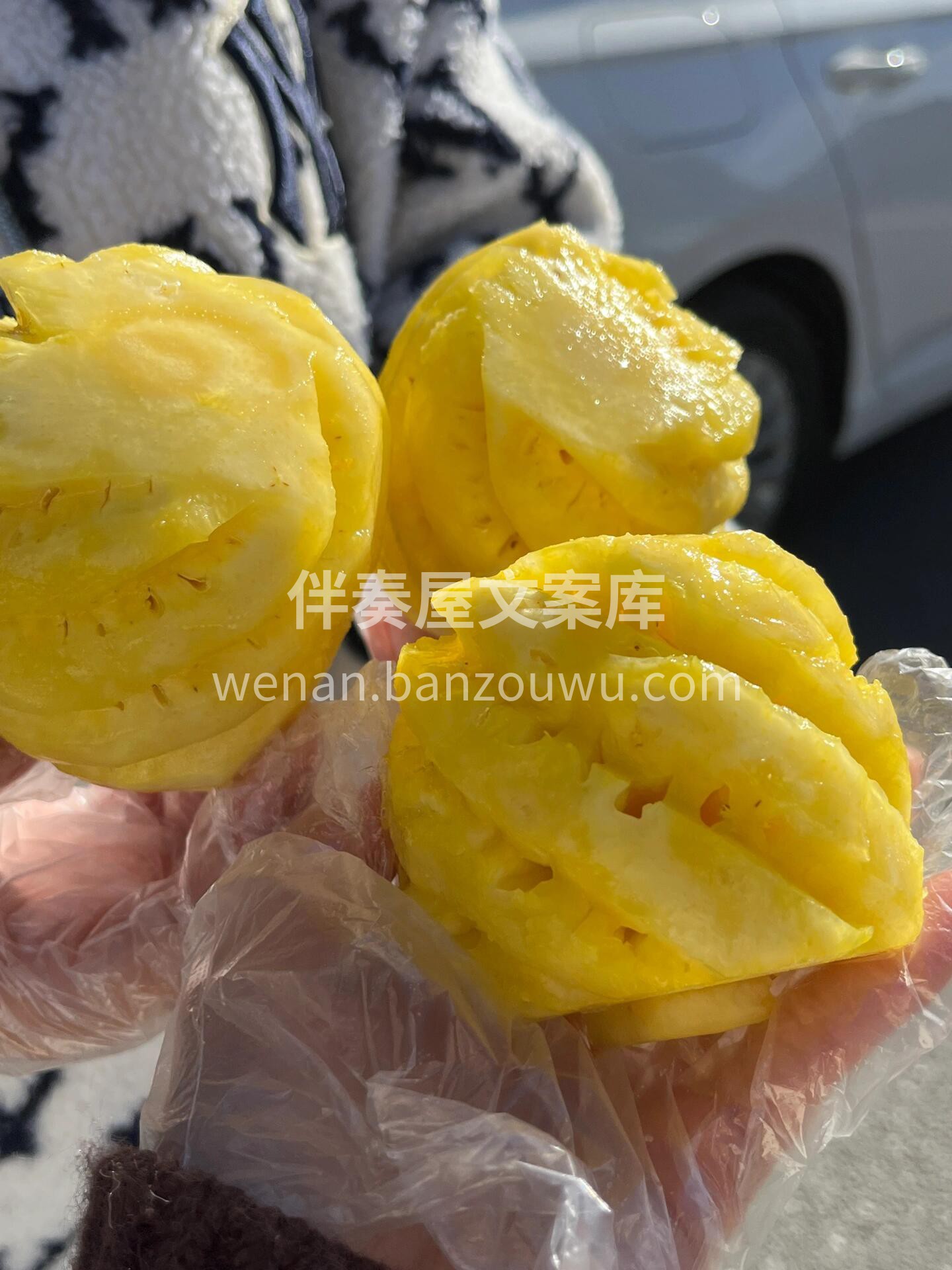 🔥新货到店‼️ 期待已久的小菠萝来啦🎉  配图1