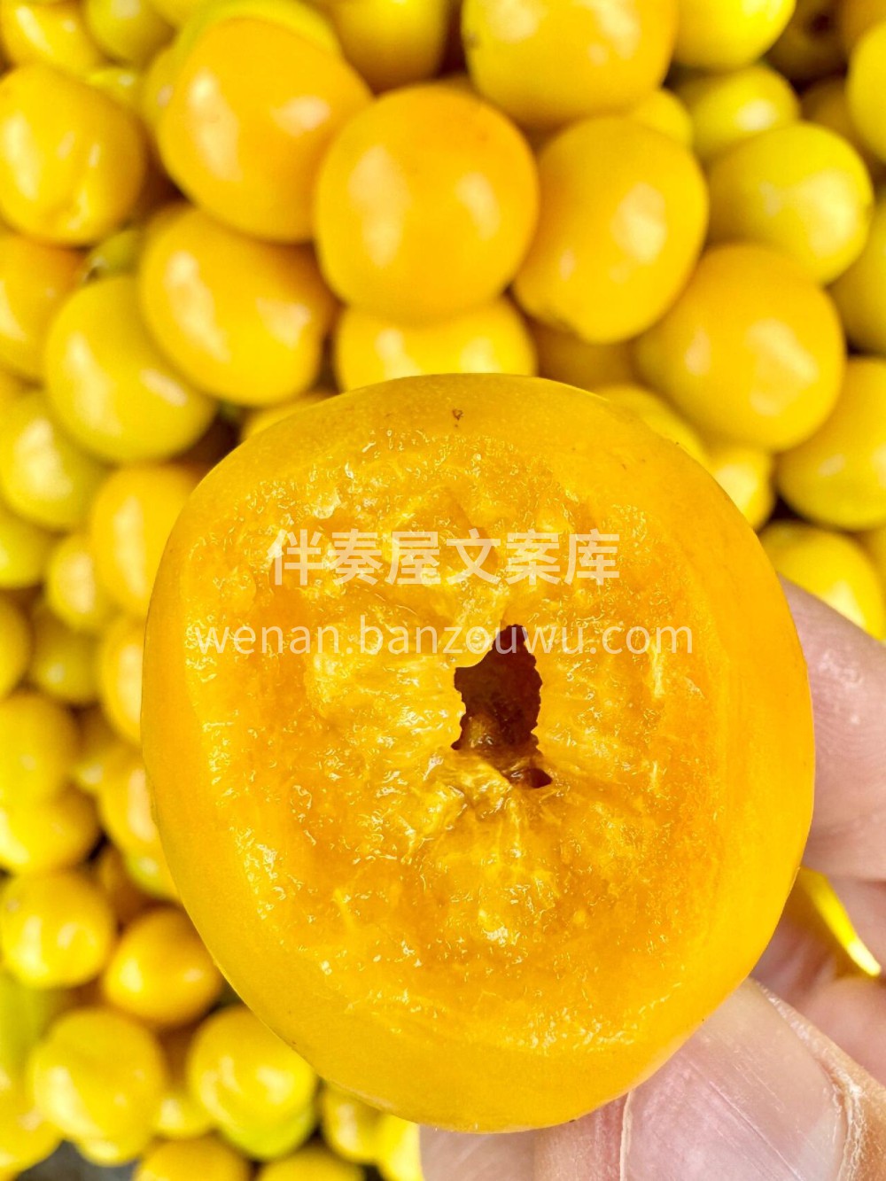 新鲜到货：小白杏💚夏天的风🌬️吹到了新疆 配图2