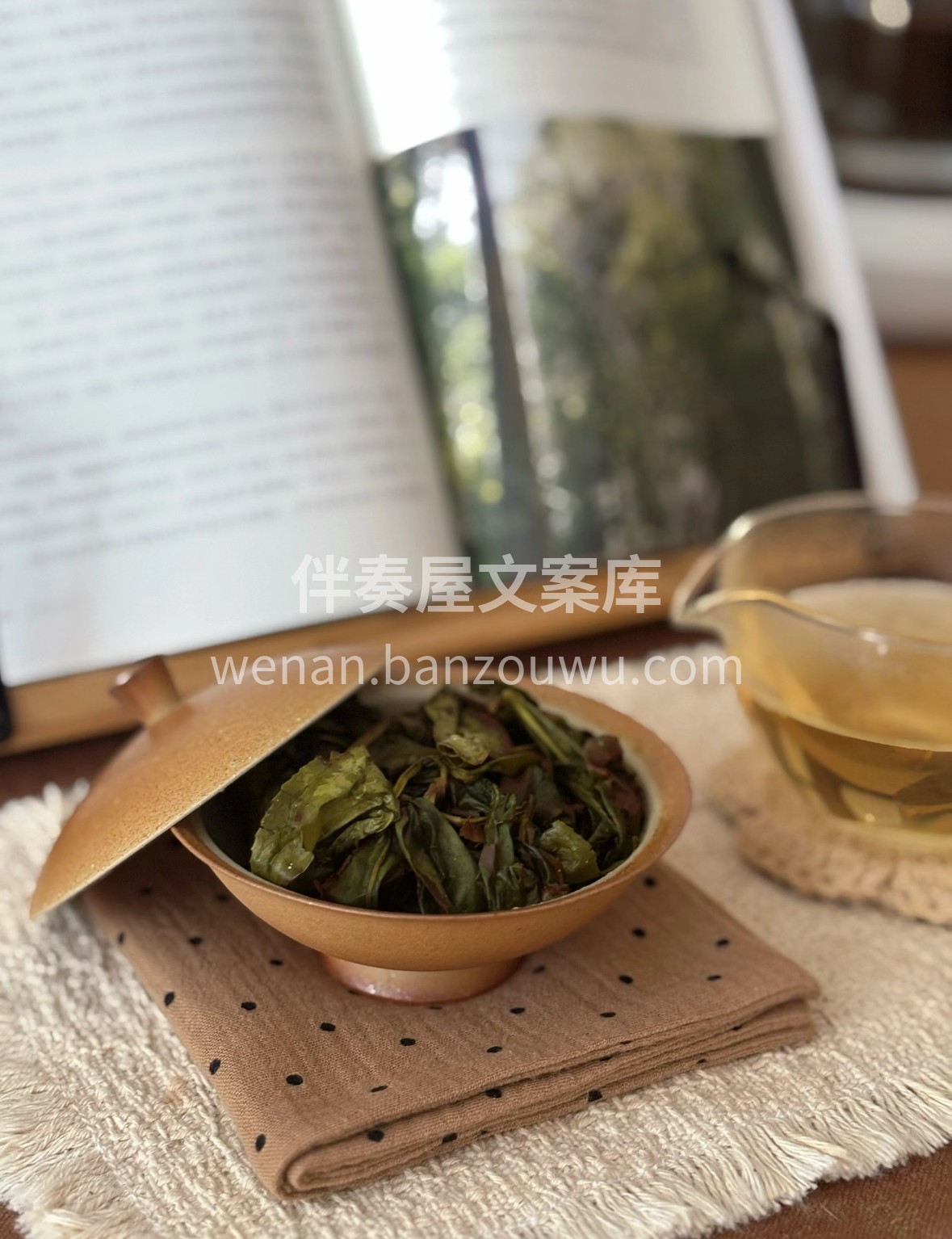 茶案新添漳平水仙，紧结的饼状藏着漳平云雾 配图2