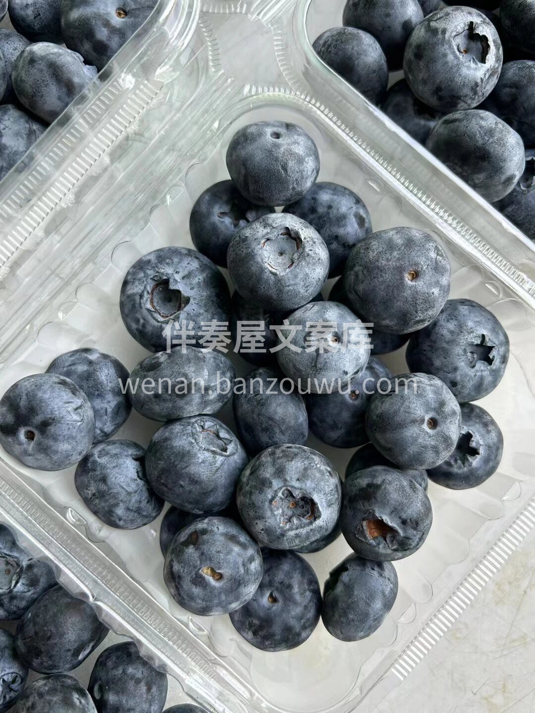 今年蓝莓很好吃😋 家中有小朋友吃起来～  配图3
