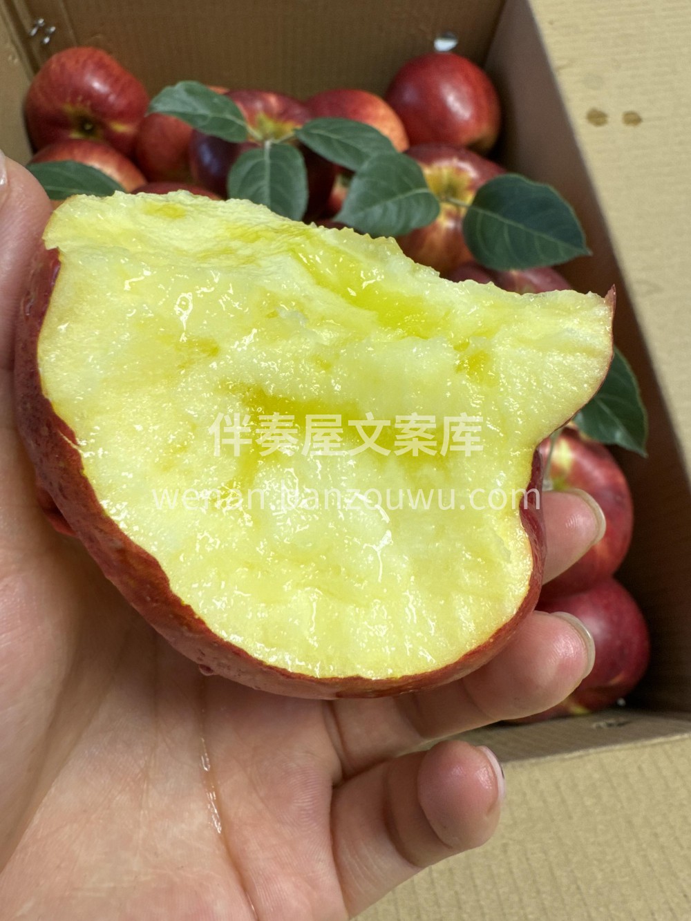 云南昭通苹果🍎咬一口嘎嘣脆，汁水超多😍浓 配图2