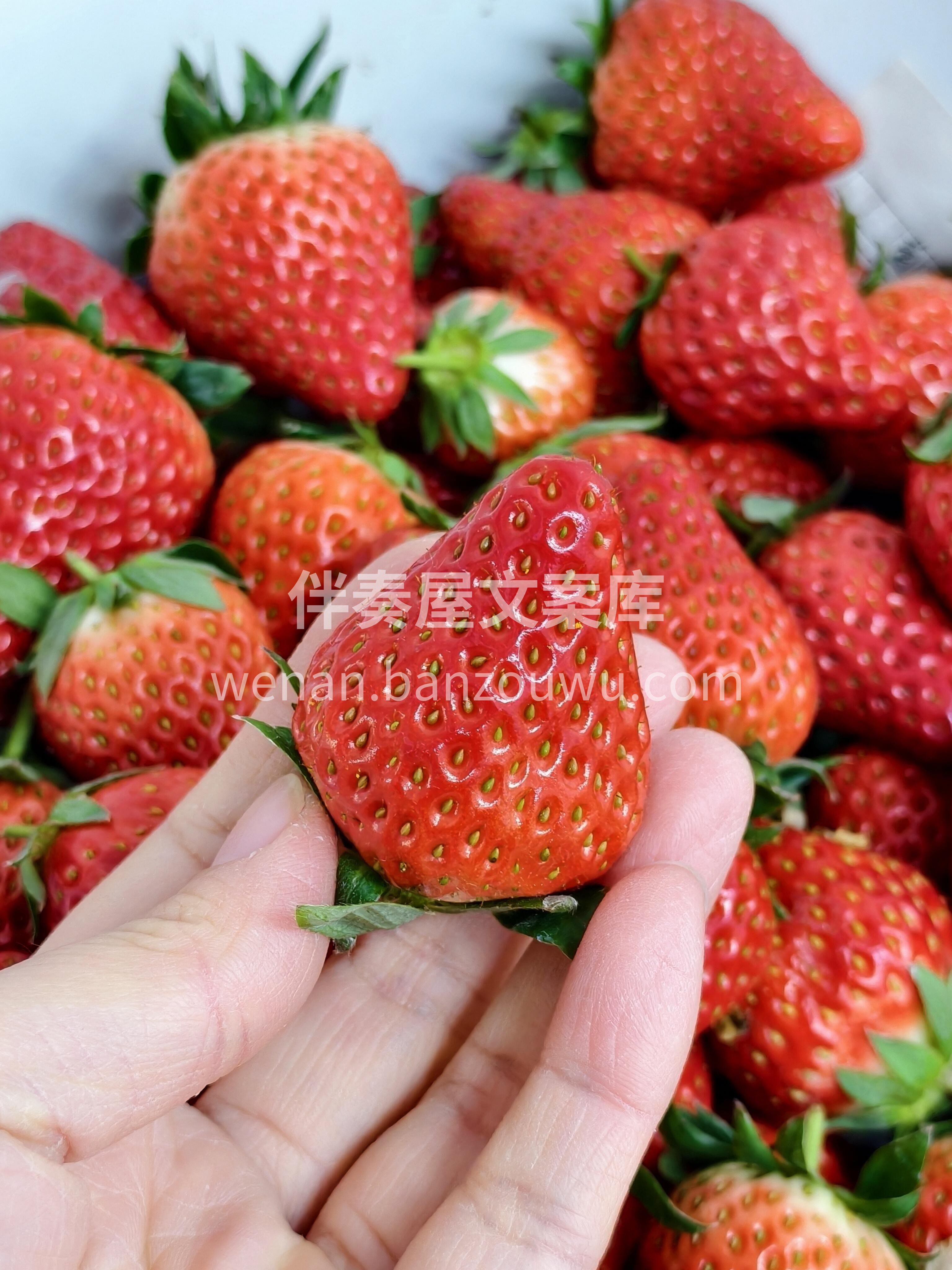 ☀️𝕤𝕡𝕣𝕚𝕟𝕘 ✧🌱 今日贩卖春天的好 配图1