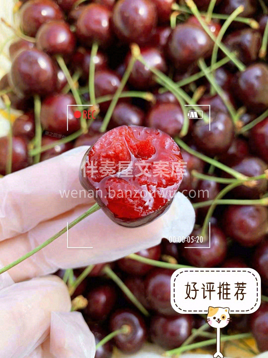 长长的绿杆，揪一颗放进嘴巴里 甜蜜爆浆💥 配图1