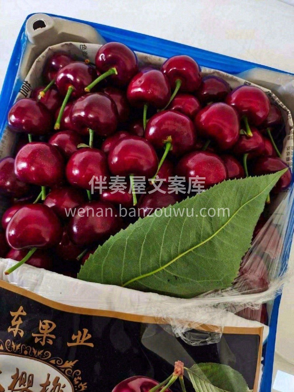大连樱桃，真正实现自由的时候到了🥰如果是 配图2