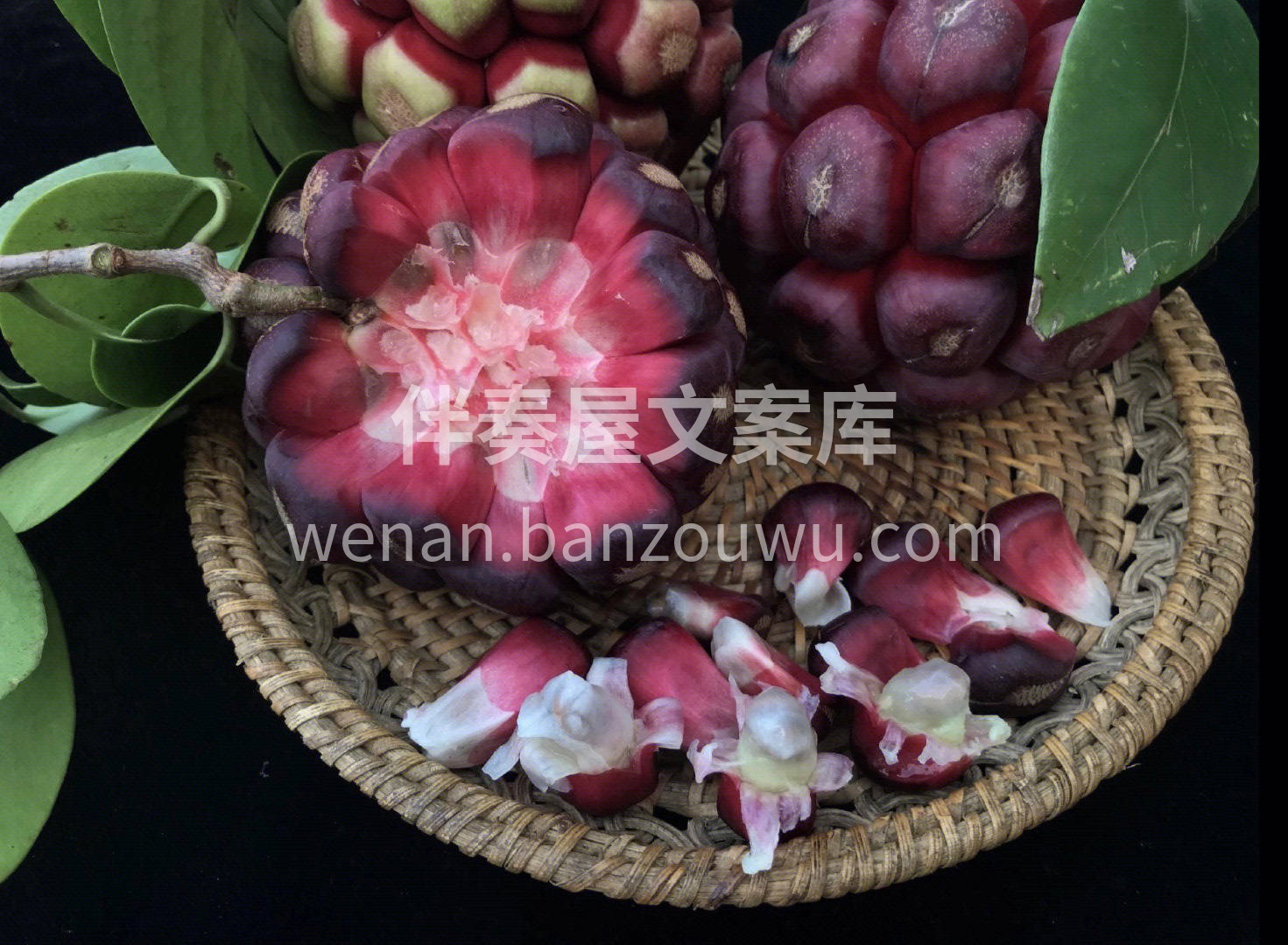 🐯黑老虎为聚合果，是由许多小果子共同组成 配图1