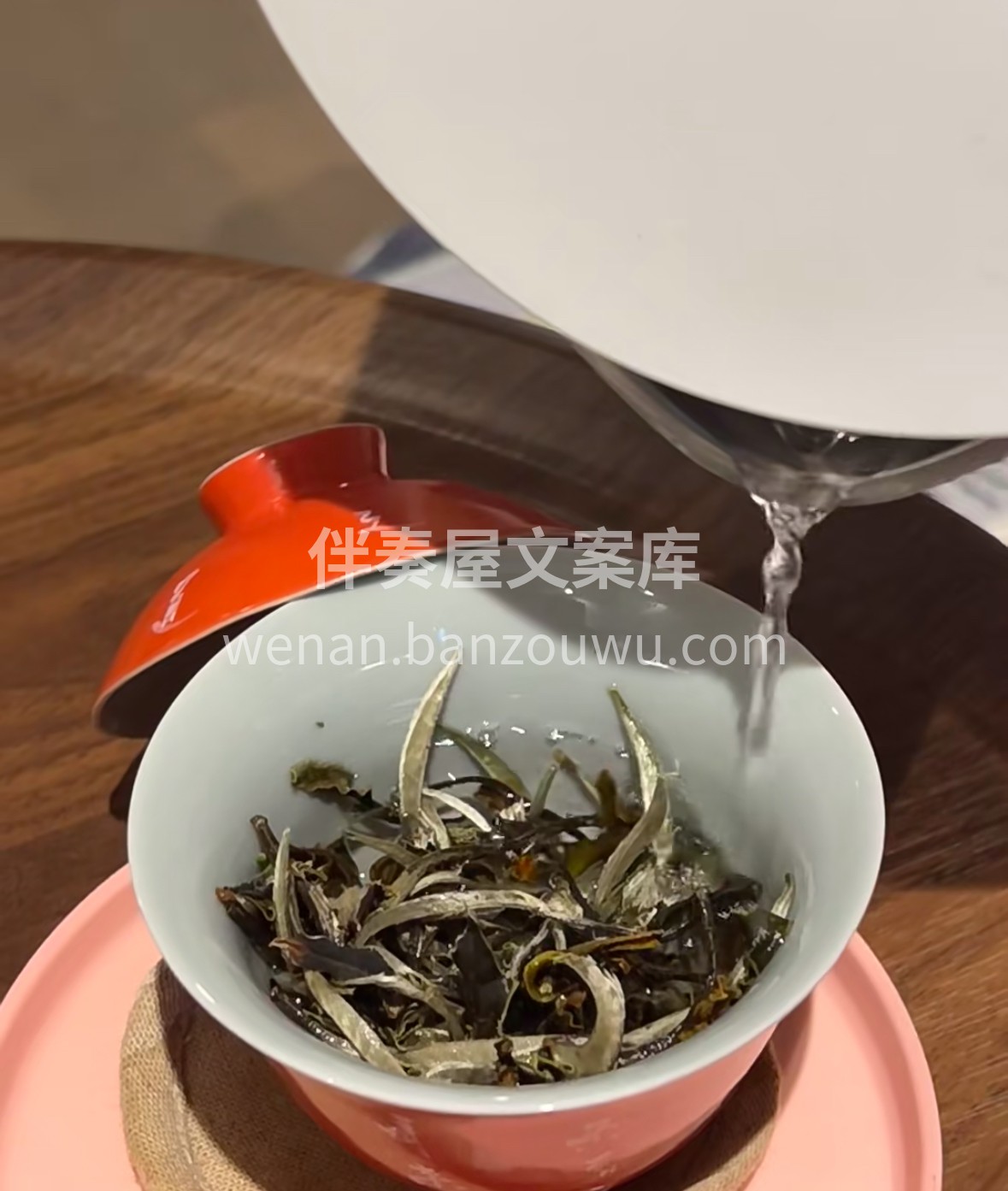 云南月光下的温柔馈赠｜月光美人白茶 芽头 配图2