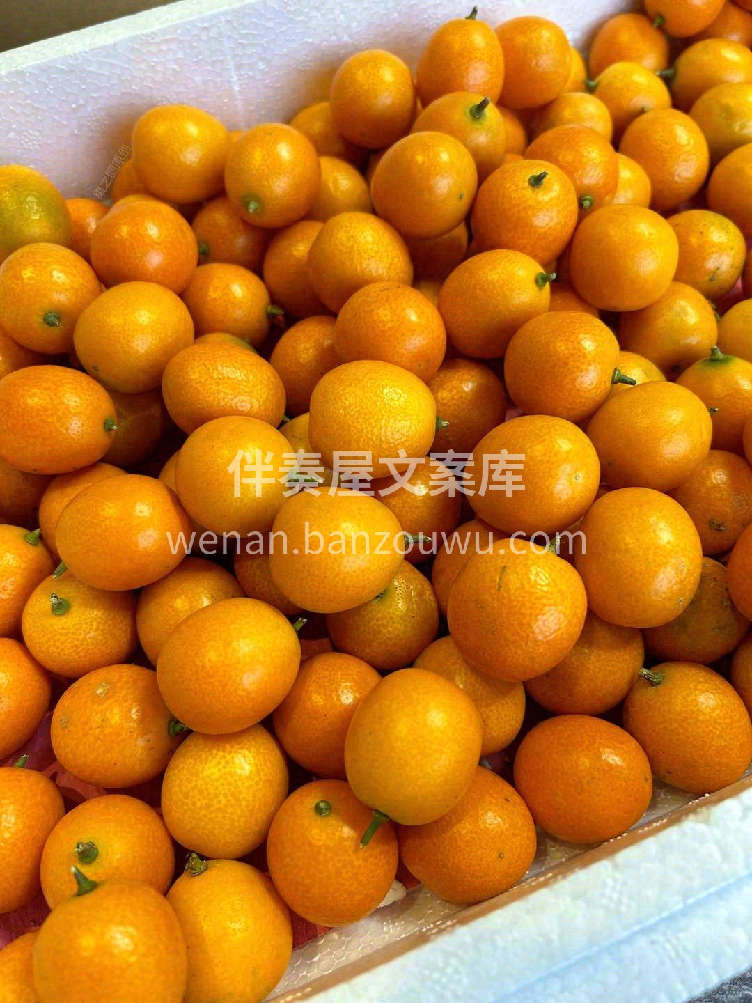 💦不苦也不涩，果肉水嫩🍊，吃皮也没有呛人 配图3