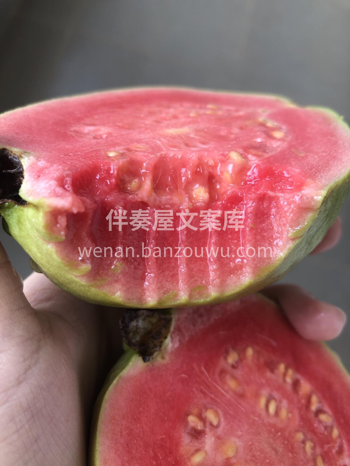 ❤️红心芭乐到货啦～ 减肥的小可爱们看过 配图2