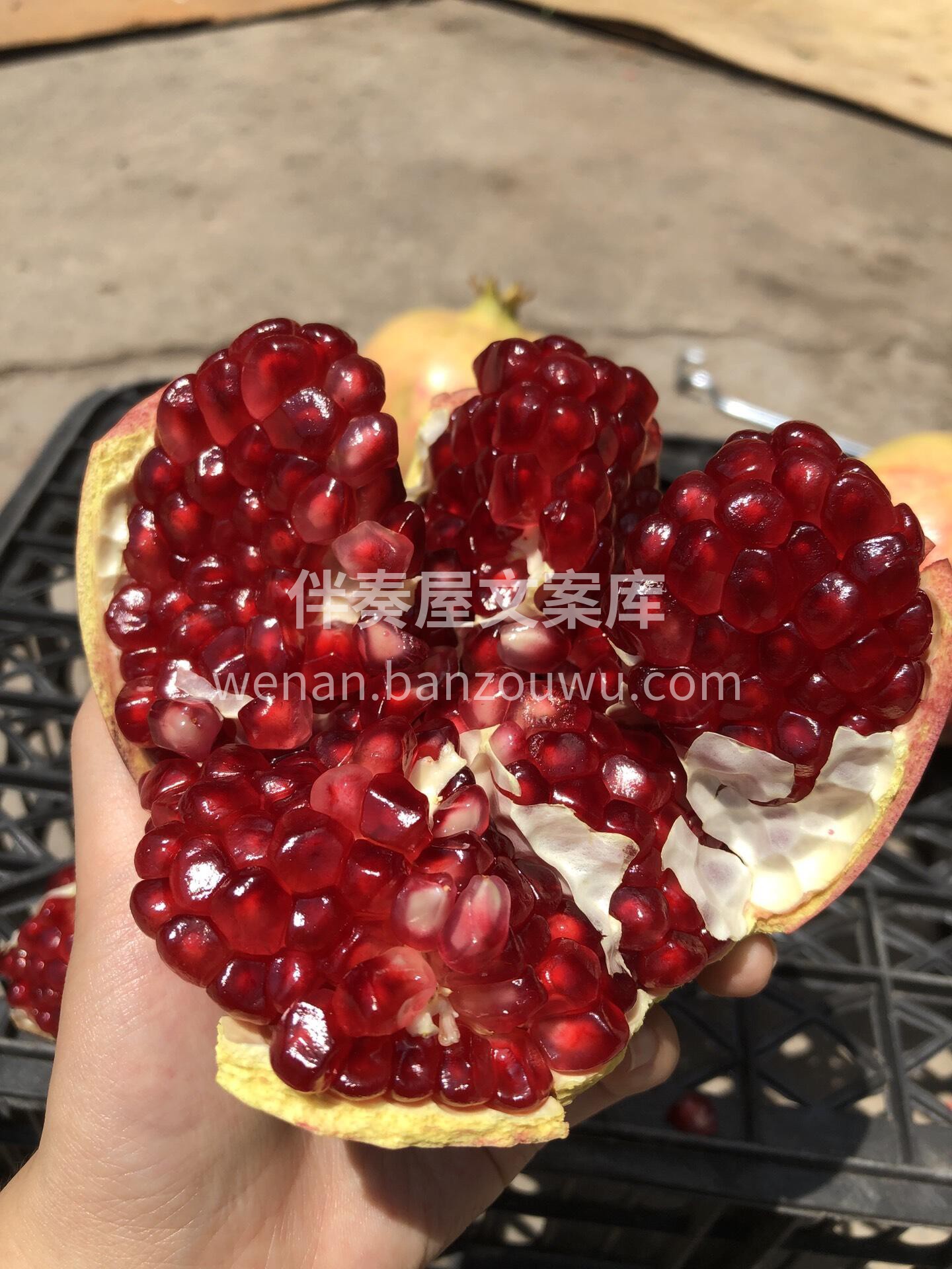 🍂论秋天水果的当家花旦🌹 还得是突尼斯软 配图3