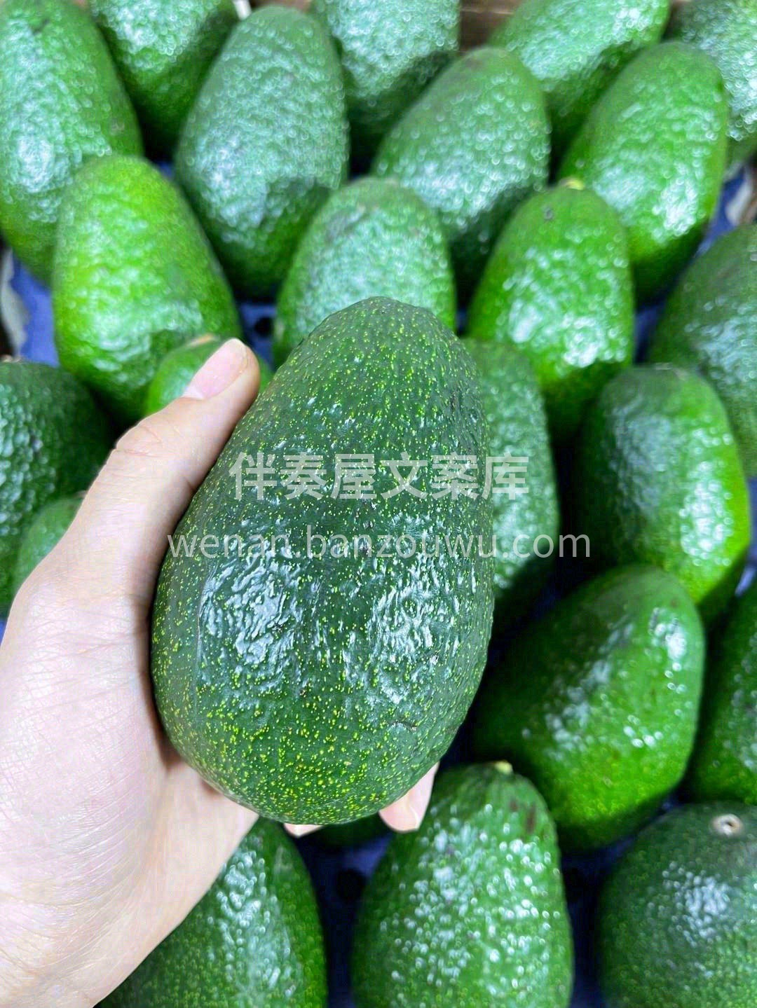 🥰 口感绵糯、软滑、厚实，自带天然的奶香 配图2