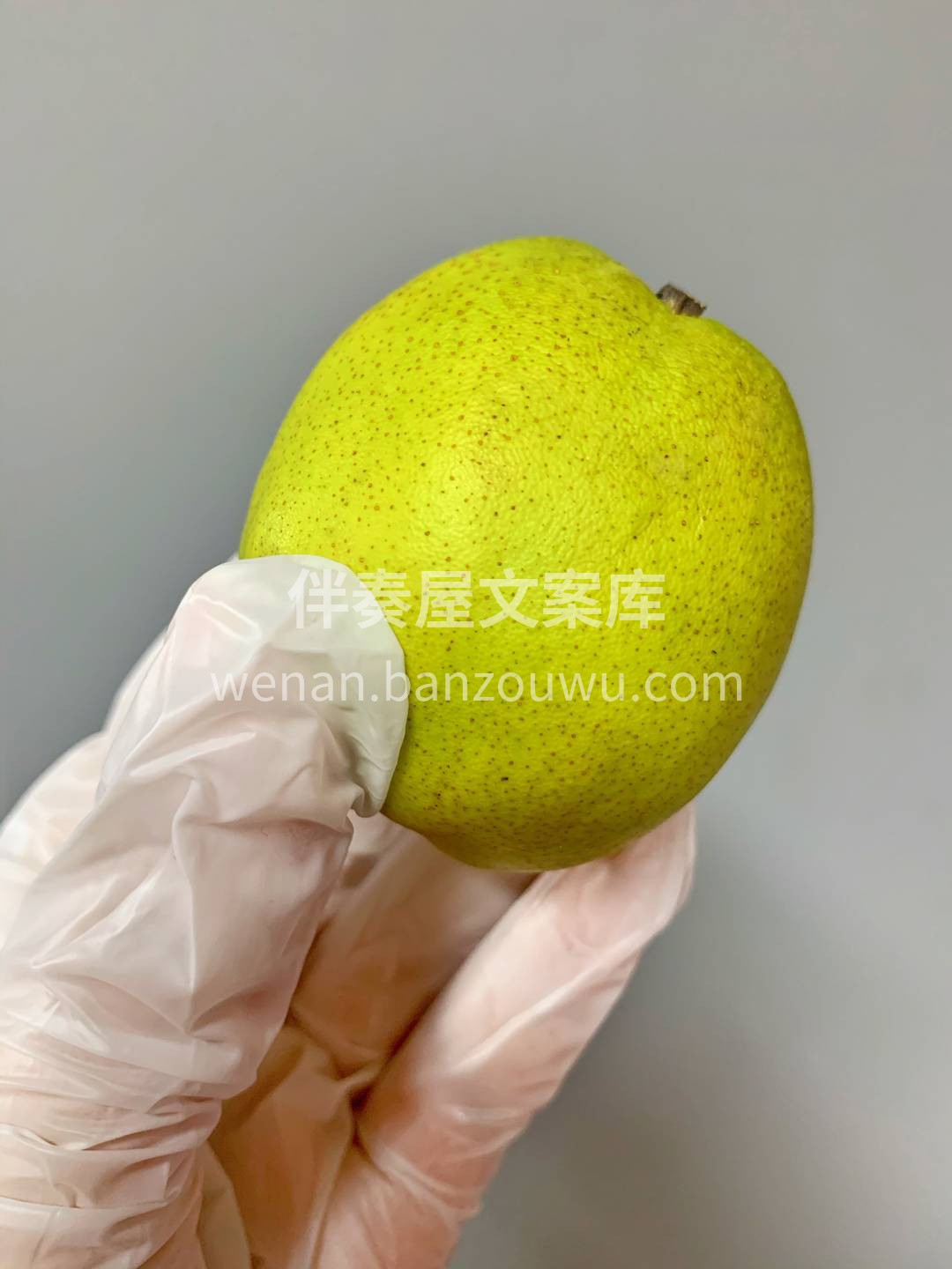 拳头般大小的体型，一颗不够吃，两颗刚刚好 配图3