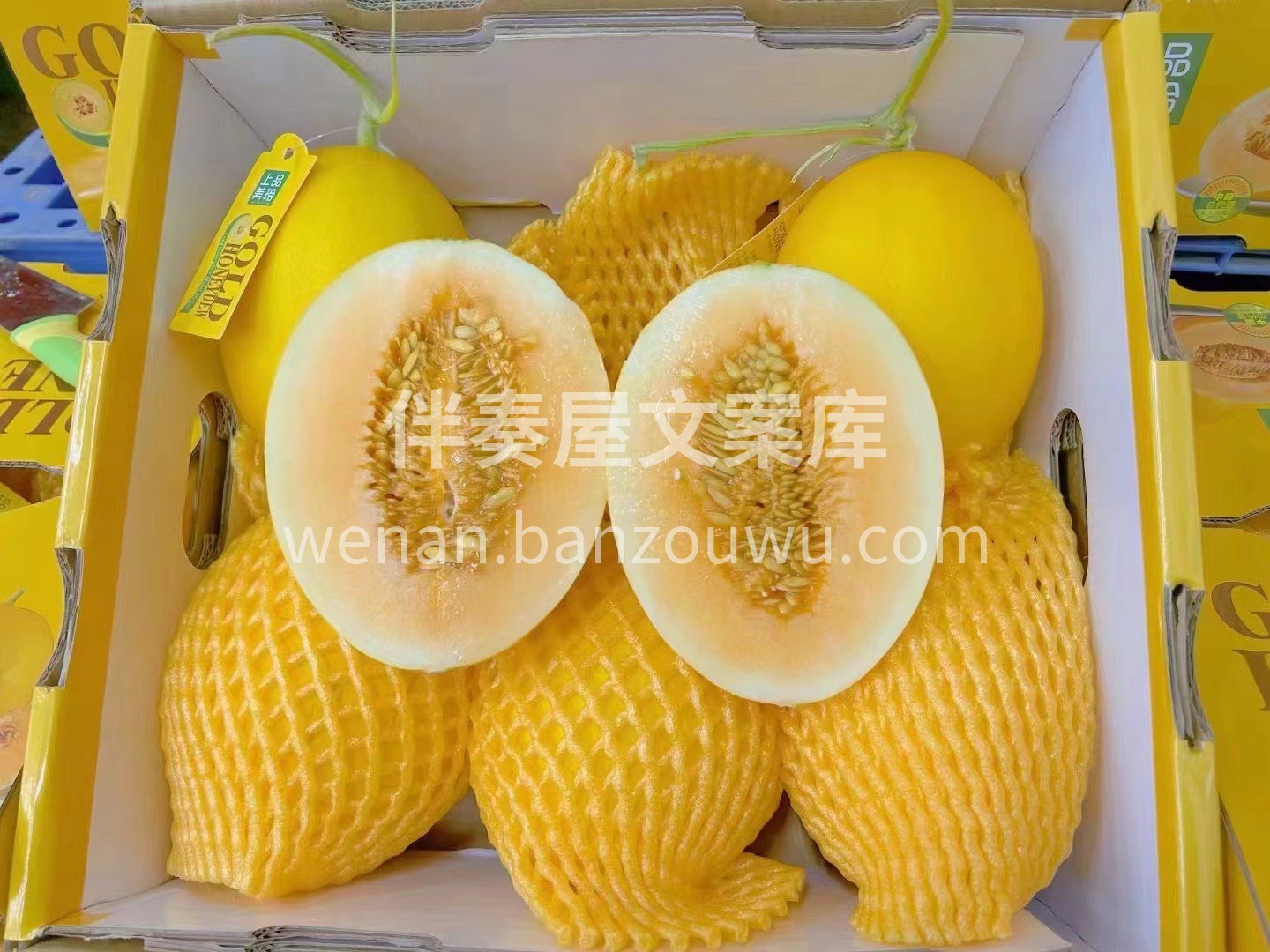 上品金玲黄金蜜露 宛如打翻蜜罐，一般的甜 配图1