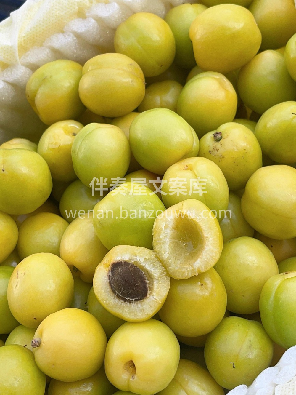 🍃新疆轮台小白杏✨甜如蜂蜜🍯保你吃上停不 配图1