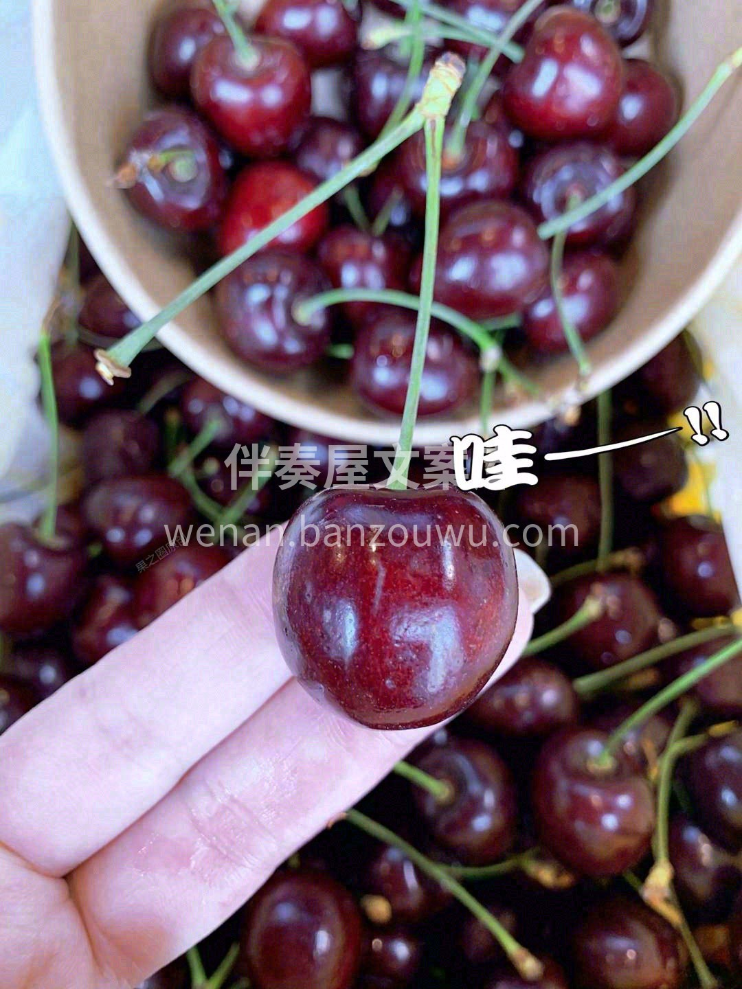 长长的绿杆，揪一颗放进嘴巴里 甜蜜爆浆💥 配图3