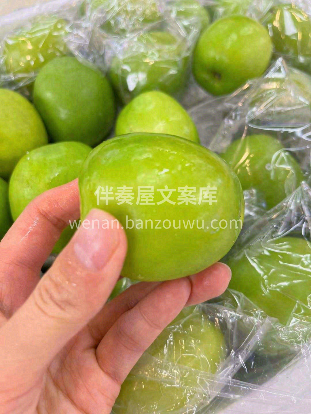 这颗号称“维生素C果”的苹果枣🍏：白透晶 配图3