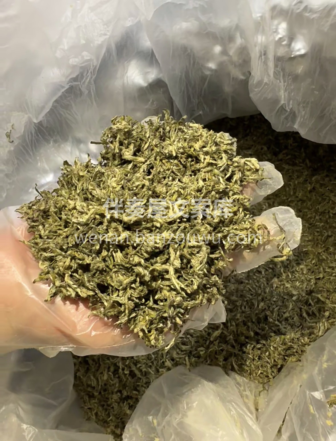新春年货选蒙顶甘露，明前春芽凝鲜醇，甘洌 配图1