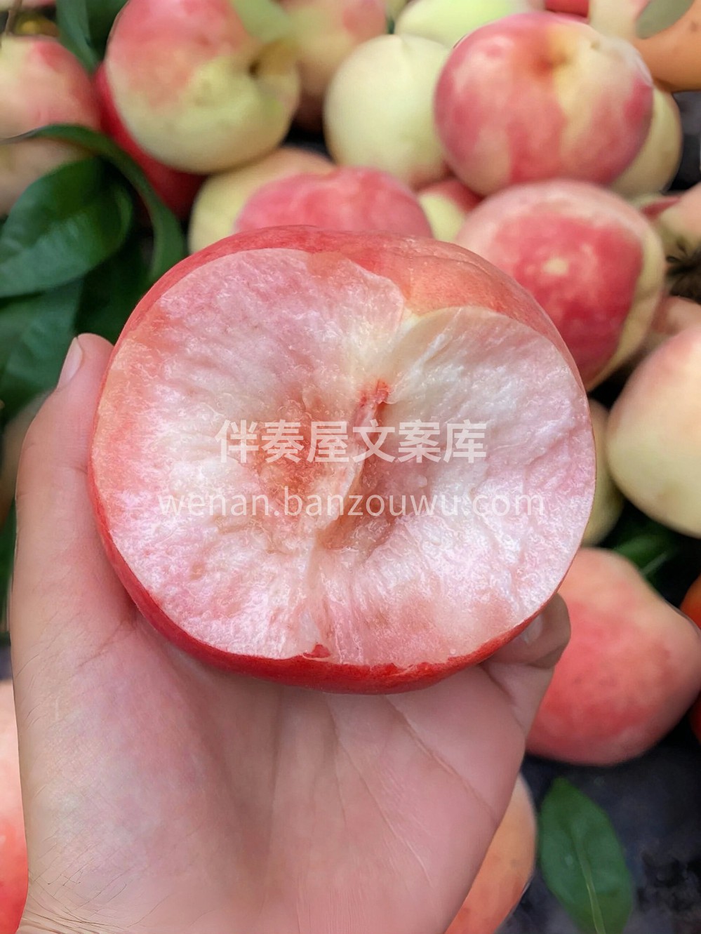🍑夏日里的桃色约定😘 桃子的形状，是夏天 配图1