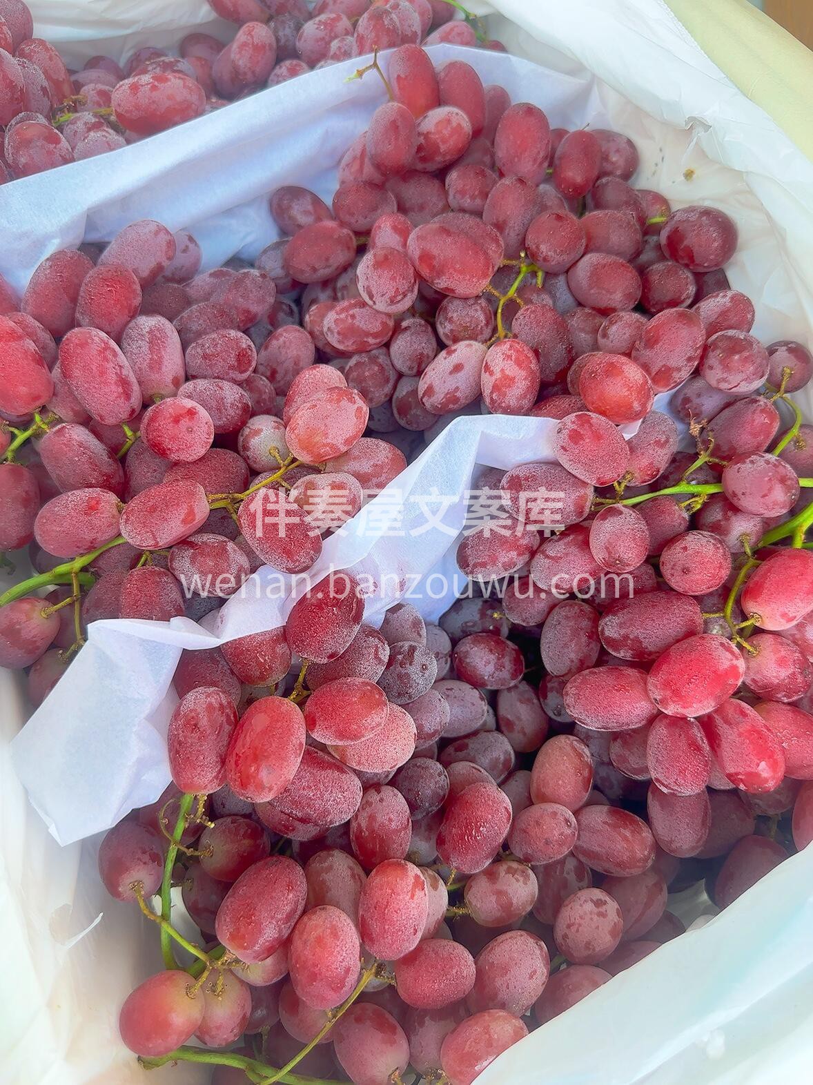 无籽红提🍇硬货到位👏 哪一颗都是嘎嘣的脆 配图3