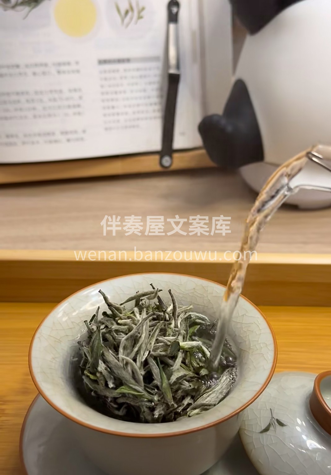 银毫满披似雪，干茶纤细如针。冲泡后叶底舒 配图3