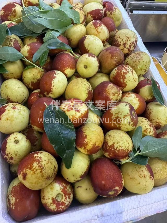 今日果王5A冬枣💞 只为“咔擦”一口的脆 配图2