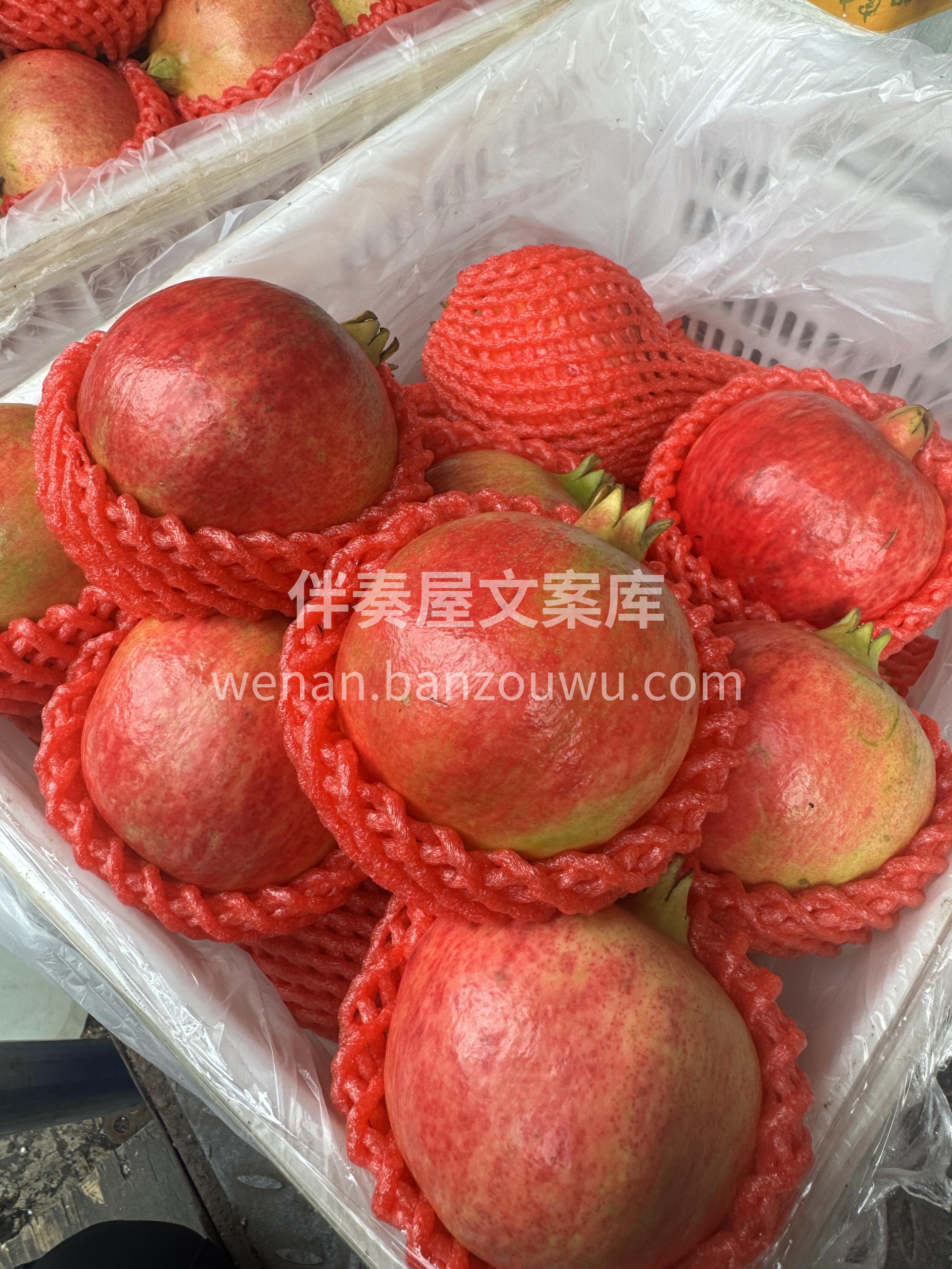 “突尼斯”一口爆汁，放肆嚼不吐籽‼️ 🤤 配图3