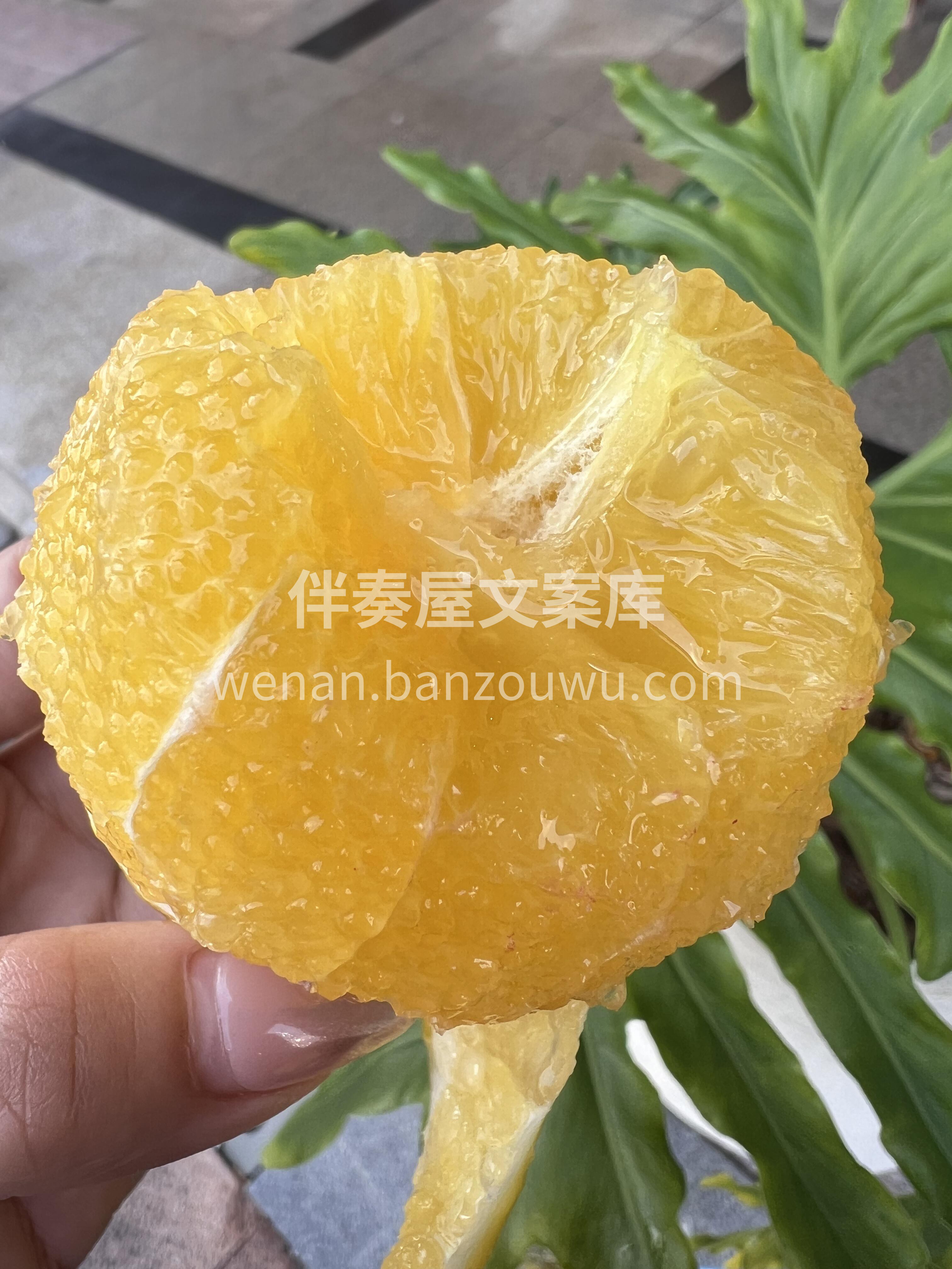 人生总有起落🌊，精神终可传承🙌——【励志 配图3