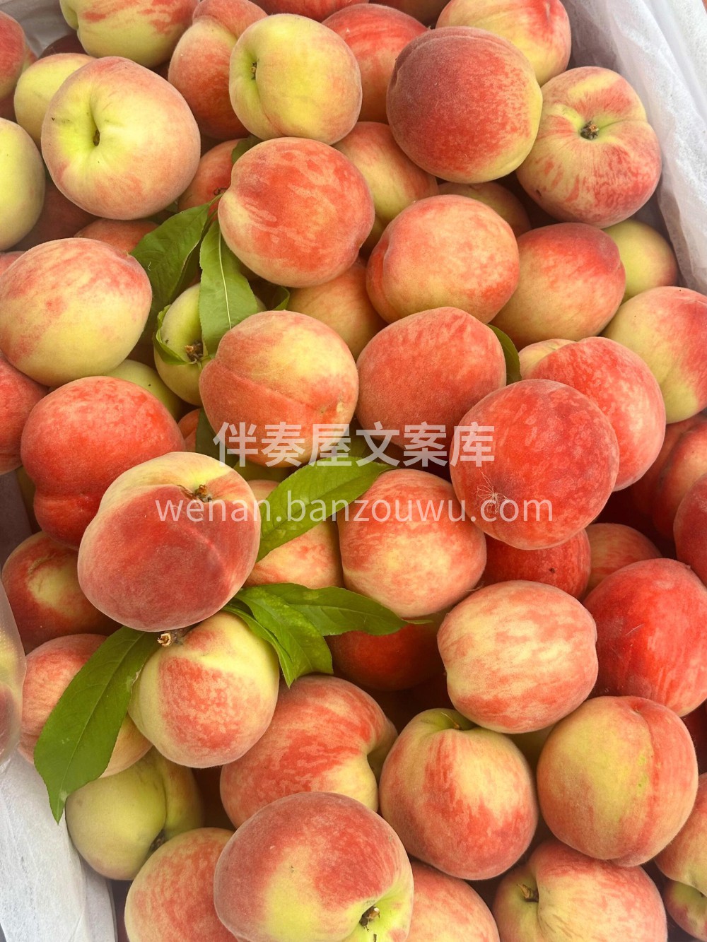🍑水蜜桃💕当鲜脆的果肉与香甜的桃汁布满口 配图3