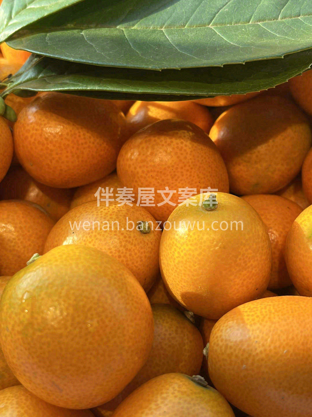 含汁量实在太足了🍊，嘴巴仿佛是榨汁机🙊  配图3