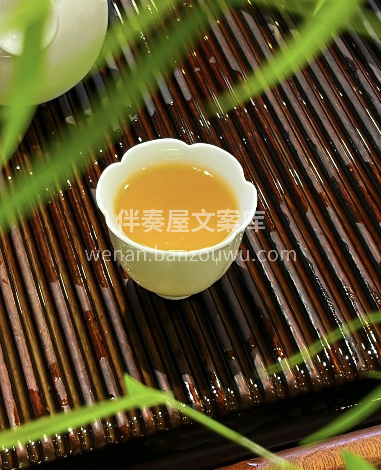 茶人，未必就是精于茶道之人，也未必是采茶 配图3