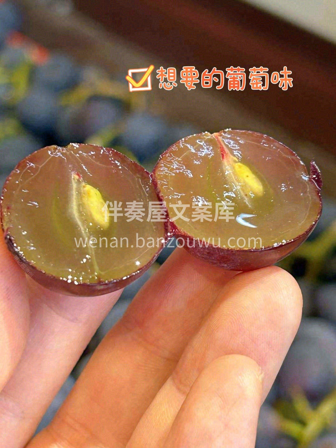 果肉水润嫩滑💦，正宗吃葡萄吐葡萄皮的葡萄 配图1