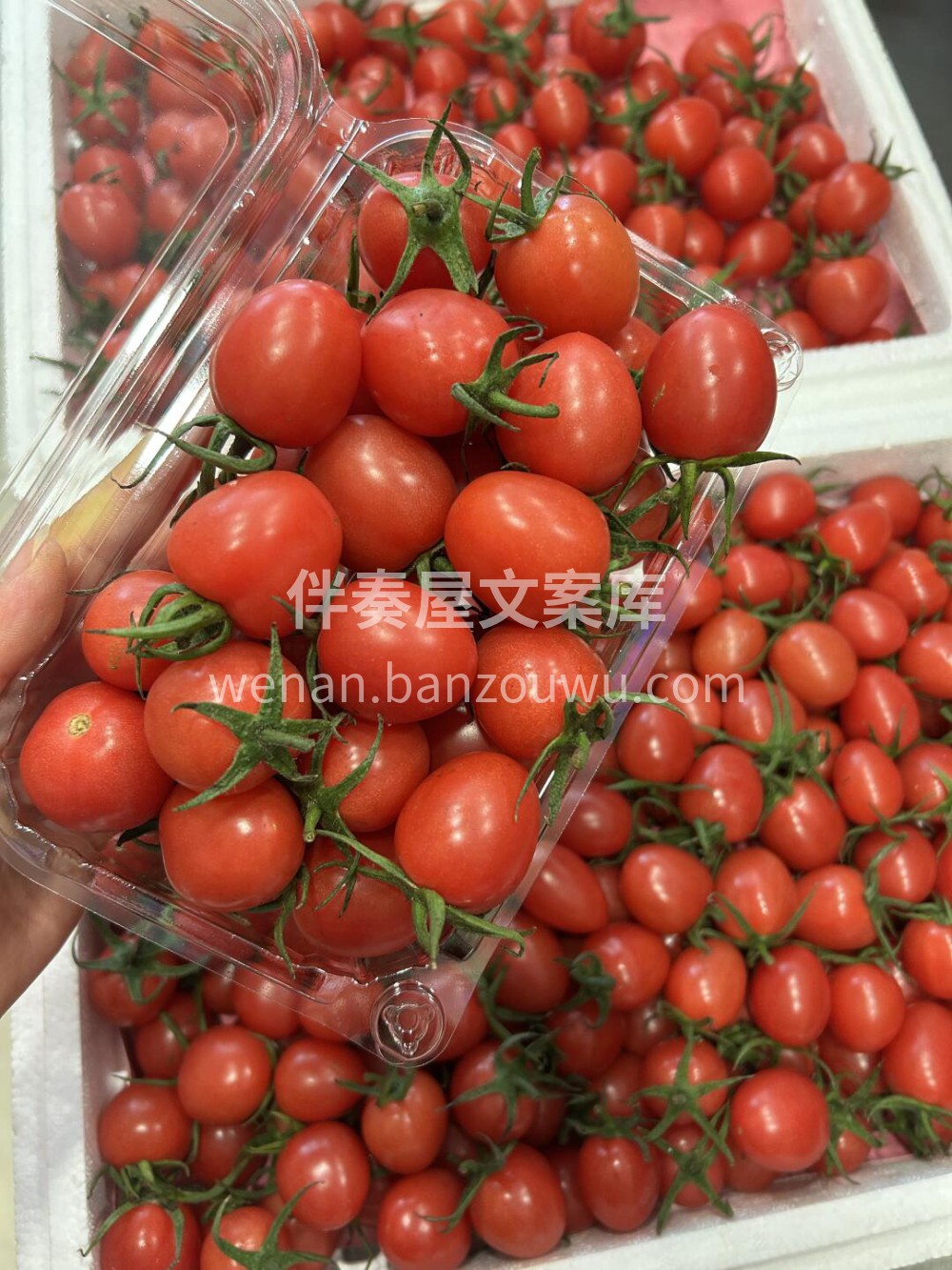 维生素小糖丸🍅太爱吃小番茄了👏减脂期 没 配图2