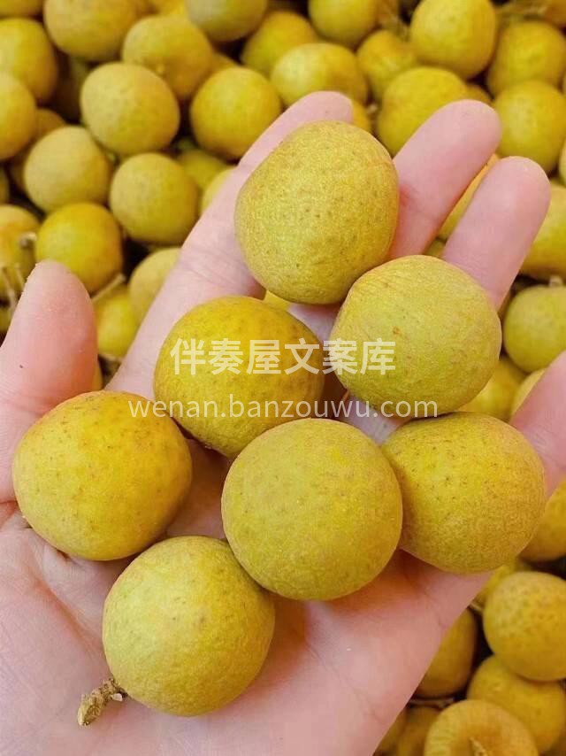 果中神品“ 海南石夹龙眼🙋‍♀️皮薄核小 配图3