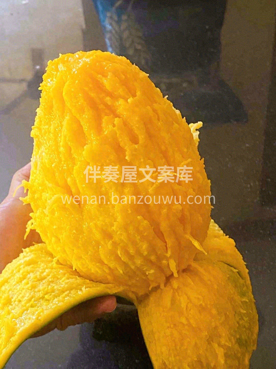 🌱攀枝花彩虹凯特芒🌱 个头巨大，比脸盘子 配图3