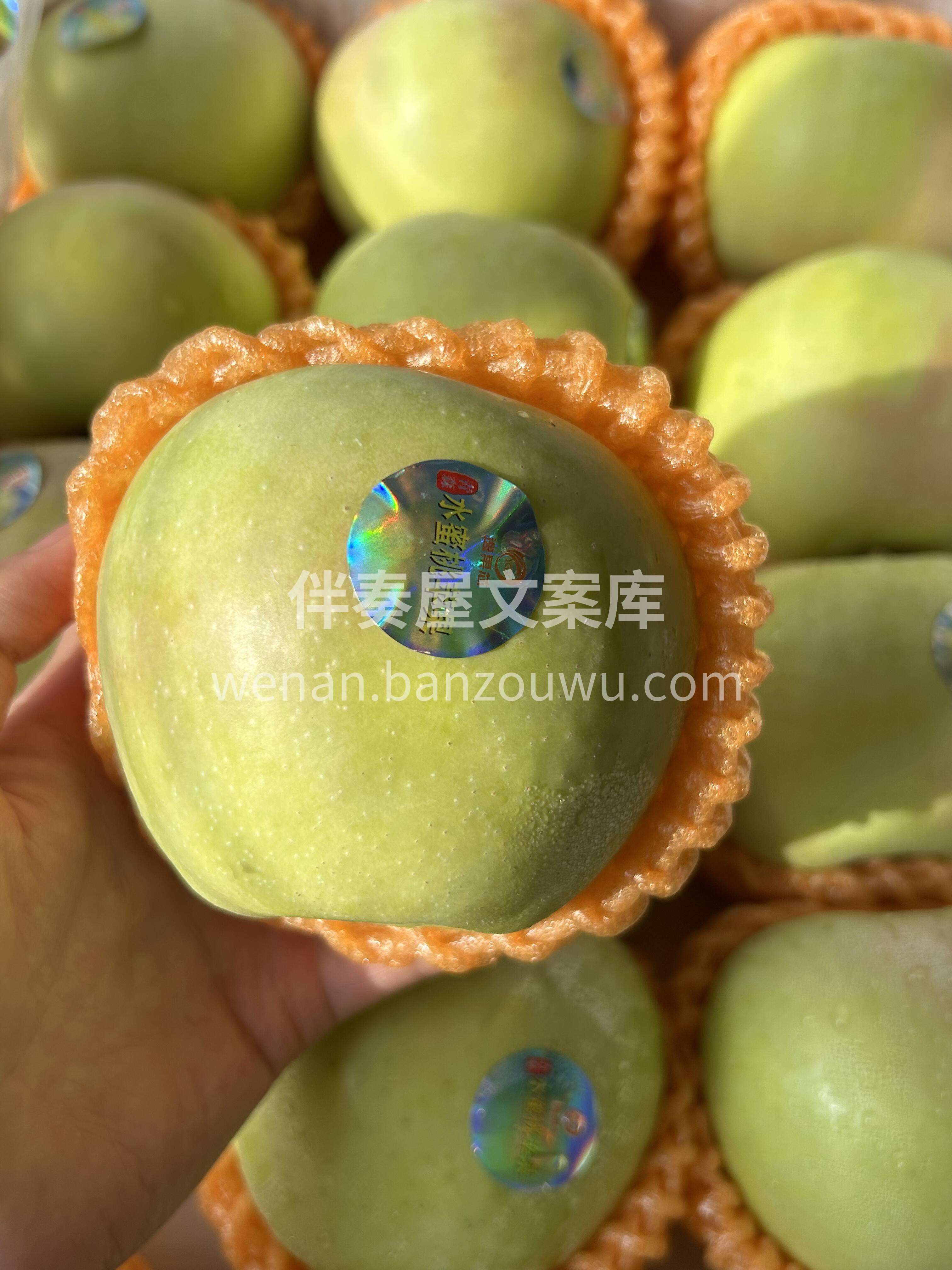你吃了么？🙋秋天的第一个青苹果🍏 自带雀 配图1