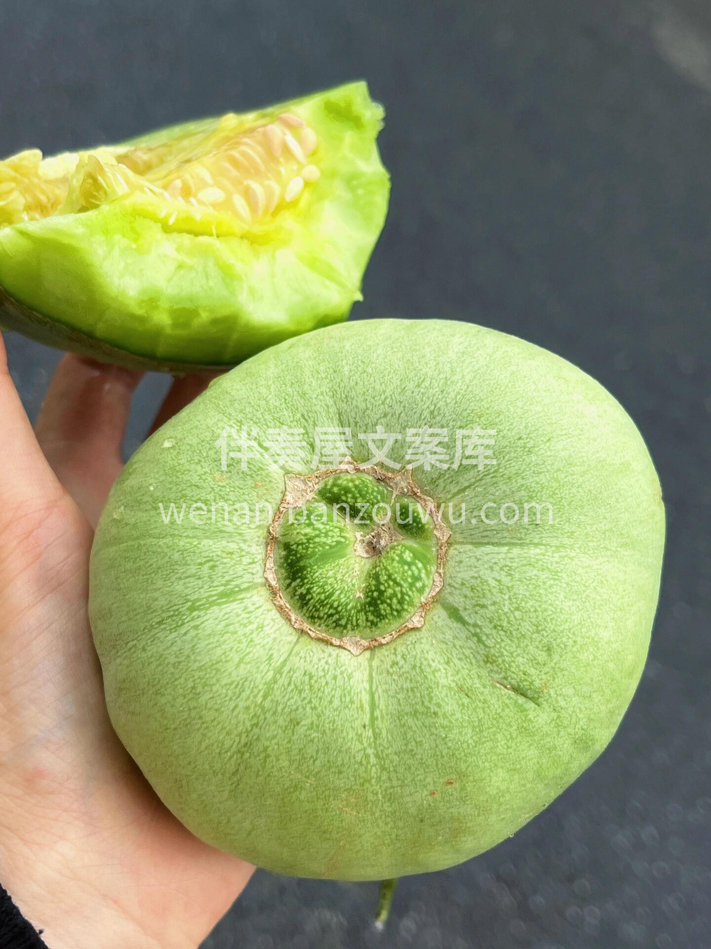 “弱水三千只取一瓢， 🍈万千甜瓜只想选它 配图2